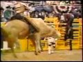 World's Most Dangerous Rodeo Bull- Bodacious