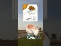 Murad Puri Hone Ka Wazifa Dua Islamic Dua