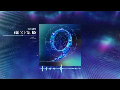 Micro TDH - GORDO RONALDO [NUEVE]