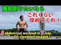 6種の腹筋でキレを作る!公園にて 6 abdominal workout in 7 min. for shredded six pack !  腹筋を割る!