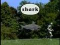 Between The Lions Gawain S Word Shark