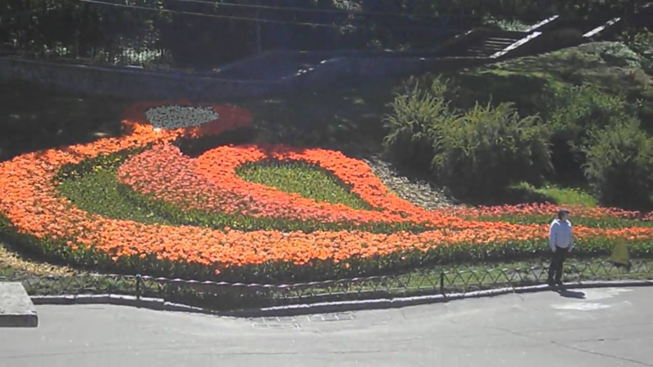 Полезное видео