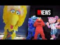 Big Bird Has Gone Missing