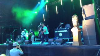 Asian Dub Foundation- Rise to the Challenge