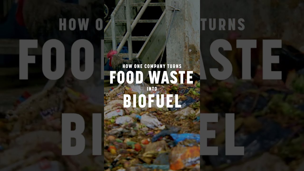 Anaerobic Digestion Explained