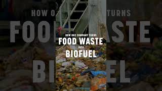Anaerobic Digestion Explained – MoovX