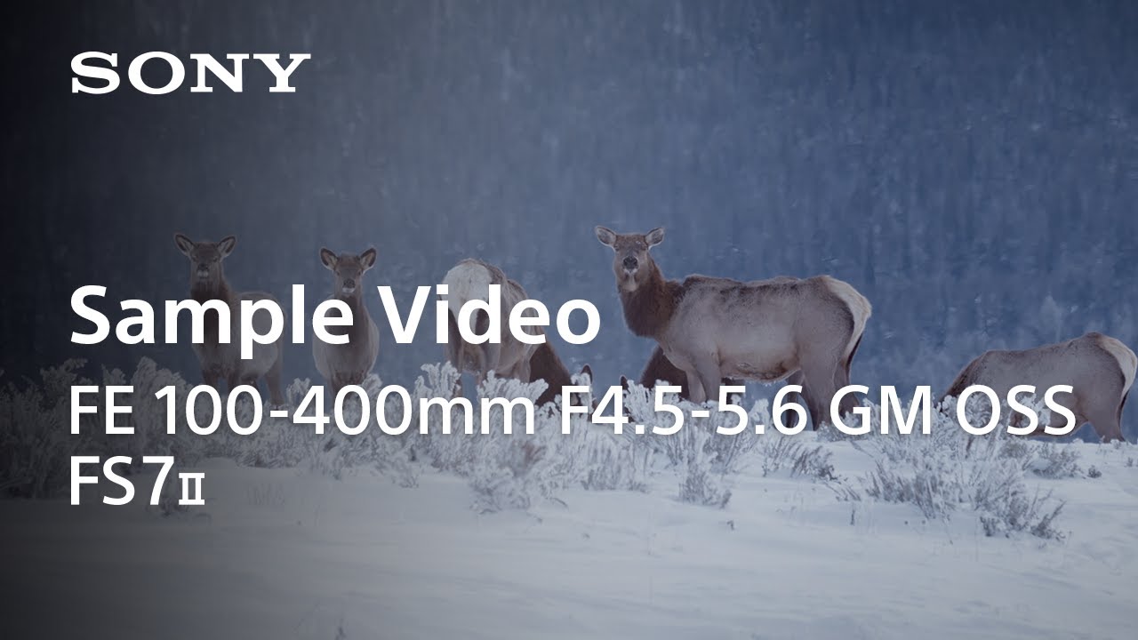 Video thumbnail for Video Review 2