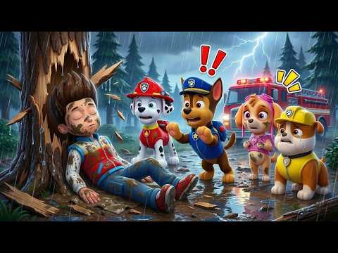 ¡RYDER, despierta! ¡No dejes solo a CHASE!! No abandones a la Paw Patrol | PAw PatRol en Español