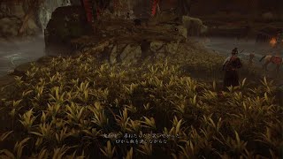 Ghost of Yōtei