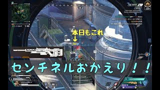 今日も今日とておまけが本編なスナイパーしか使わんAPEXキル集Part.6