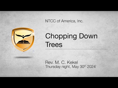Chopping Down Trees | Matthew 3:1-12 | Rev. M. C. Kekel