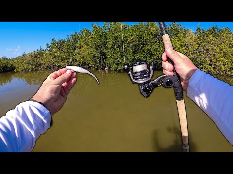 Fishing Florida Backwaters for Redfish and Snook with a Fluke!