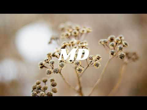 Somma, Jem Cooke -  Rush