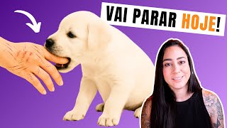 Ultimate Guide: How to Stop Your Puppy from Biting (Proven!)