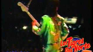 MI SANGRE PRISIONERA.