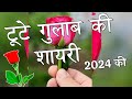 टूटे गुलाब की शायरी 2024 🌹Tute Gulab Ki Shayari 🌹 Gulab Shayari