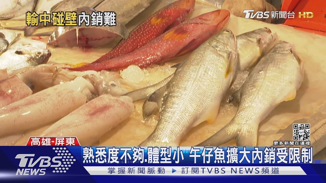 午仔魚輸陸暫無解!產地每斤先掉5元 盤商籲:內銷再努力