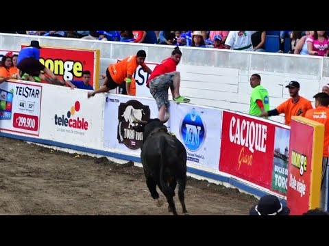 Costa Rican bullfighters celebrate end of year festival
