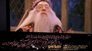 Harry Potter e la Pietra Filosofale ™ 30 sec - NAPOLI, Arena Flegrea 2-3 Giugno 2017