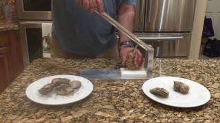 Shucking Oysters with Easy to Use Oyster Shucker