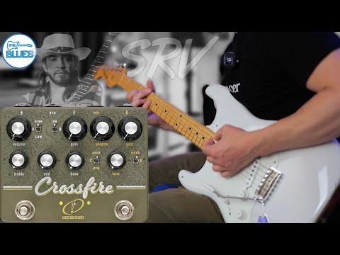 Immagine Crazy Tube Circuits Crossfire 2021 - Present - Olive - 5