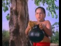 Vailankanni Matha Vision To A Shepherd Boy