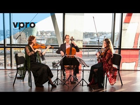 Prisma String Trio - Obrecht & van Veenendaal (Live @ Bimhuis Amsterdam