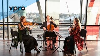 Prisma String Trio - Obrecht & van Veenendaal (Live @ Bimhuis Amsterdam
