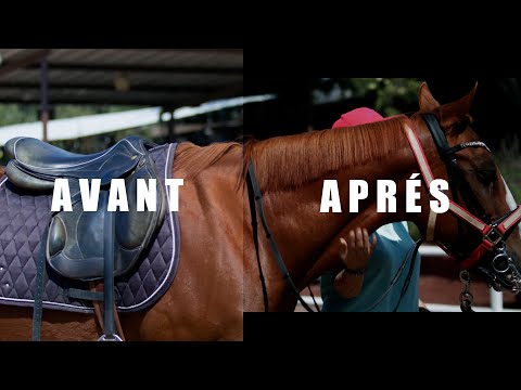 Vignette Pack Lut Dark Style variant - BREFA EDITING