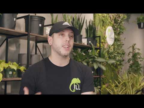 Thank You Philly - Ill Exotics on East Passyunk Avenue