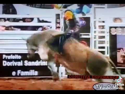 SINOVALDO CORREIA - JABÁ (EM MEMÓRIA) RODEIO DE CAJOBI 2005