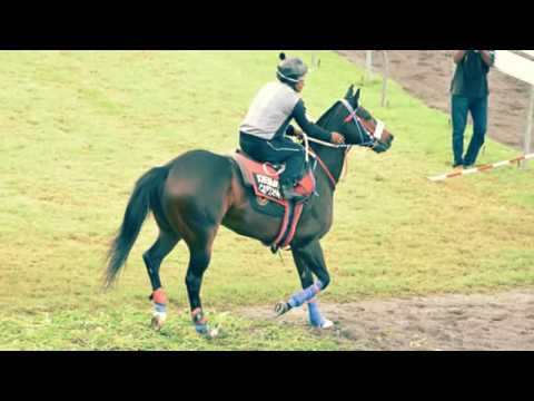 Kremlin Captain tribute