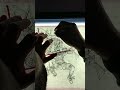 Purge Bio F R E A K S Ink Part 7