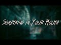 Nickelback Something In Your Mouth Lyrics