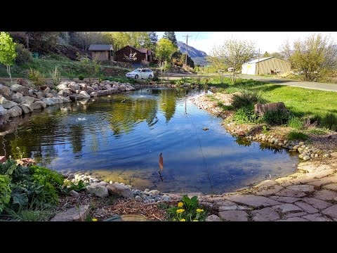 Building Large Pond & Waterfall = Dream Landscaping Durango Colorado & Gardenhart Landscape & Design