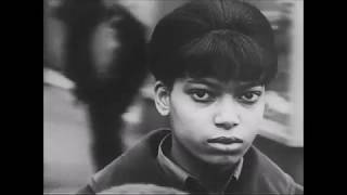 Talk Talk - John Cope