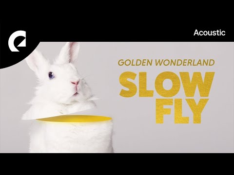 Slowfly feat. Sture Zetterberg - Bitten By Cupid
