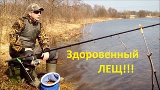 Здоровенный лещ!!! Видео с приколом))