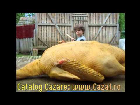 Cazare Slanic, Prahova - Cazat.ro