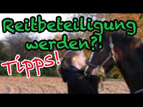 Dinge, die ich als Reitbeteiligung gelernt habe!