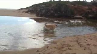 Going down On the beach