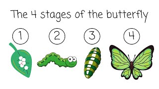 The Butterfly Life Cycle (1) gameplay video by melodybarton, 1:01 duration