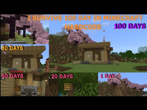 100 Insane Days! Hardcore Minecraft New Updates - No Voice @minecraft