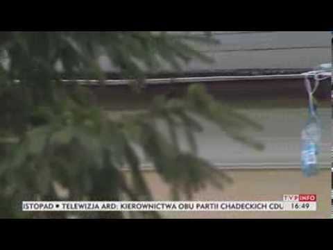 Dzięcioł-szkodnik nie daje spokoju klubowi piłkarskiemu (Puls Polski TVP Info, 17.10.2013)