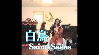 Download lagu Saint-Saëns「白鳥-Swan」 mp3