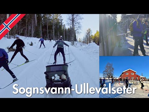We Did Norway's Busiest Cross-Country Ski Trail: Sognsvann to Ullevålseter | Oslo