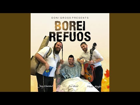 Borei Refuos (feat. Moshe Avigdor & Yossi Hecht)