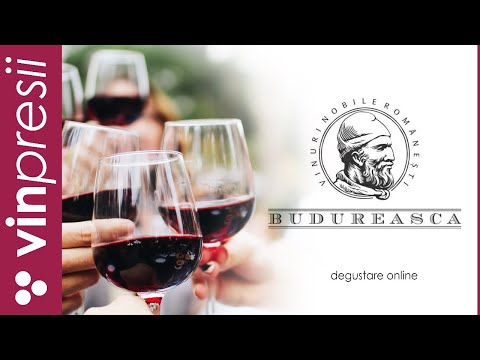 VINpresii Sezon 2 - Ep. 12 - Budureasca