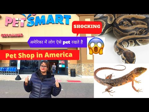 kis kis tarah ke animals paalte hai yaha| You will be SURPRISED| American pet store|Street Dog~#VLOG