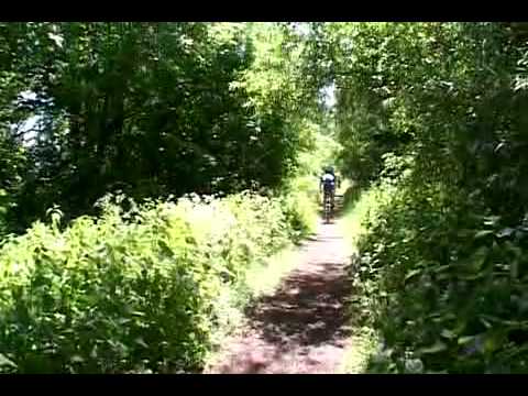 mtb dendermonde xvid
